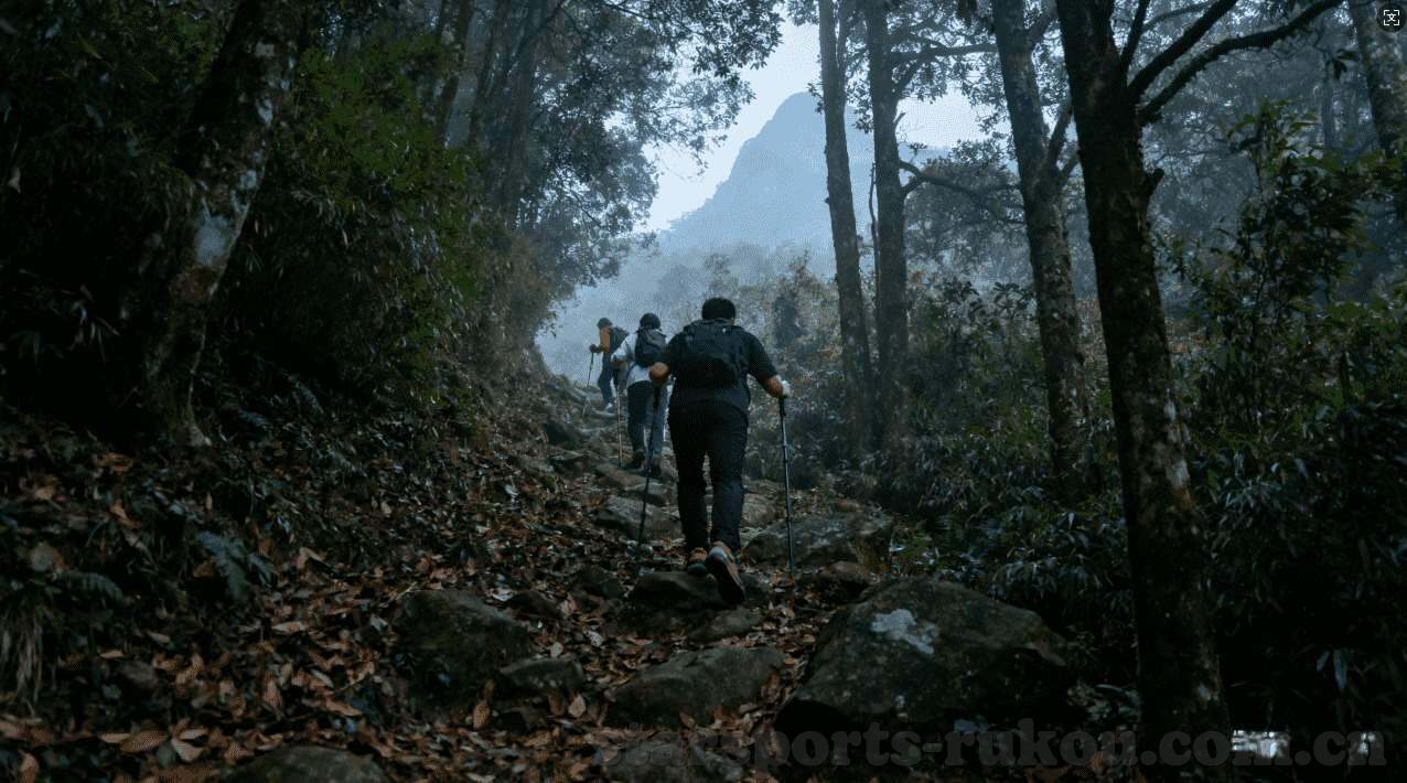 勒夫世界杯表现-勒夫世界杯表现，传奇的延续与遗憾的交织